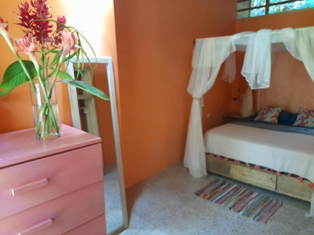 فيلا Casa La Colmena كويتا المظهر الخارجي الصورة