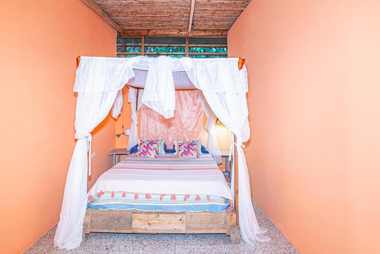 فيلا Casa La Colmena كويتا المظهر الخارجي الصورة